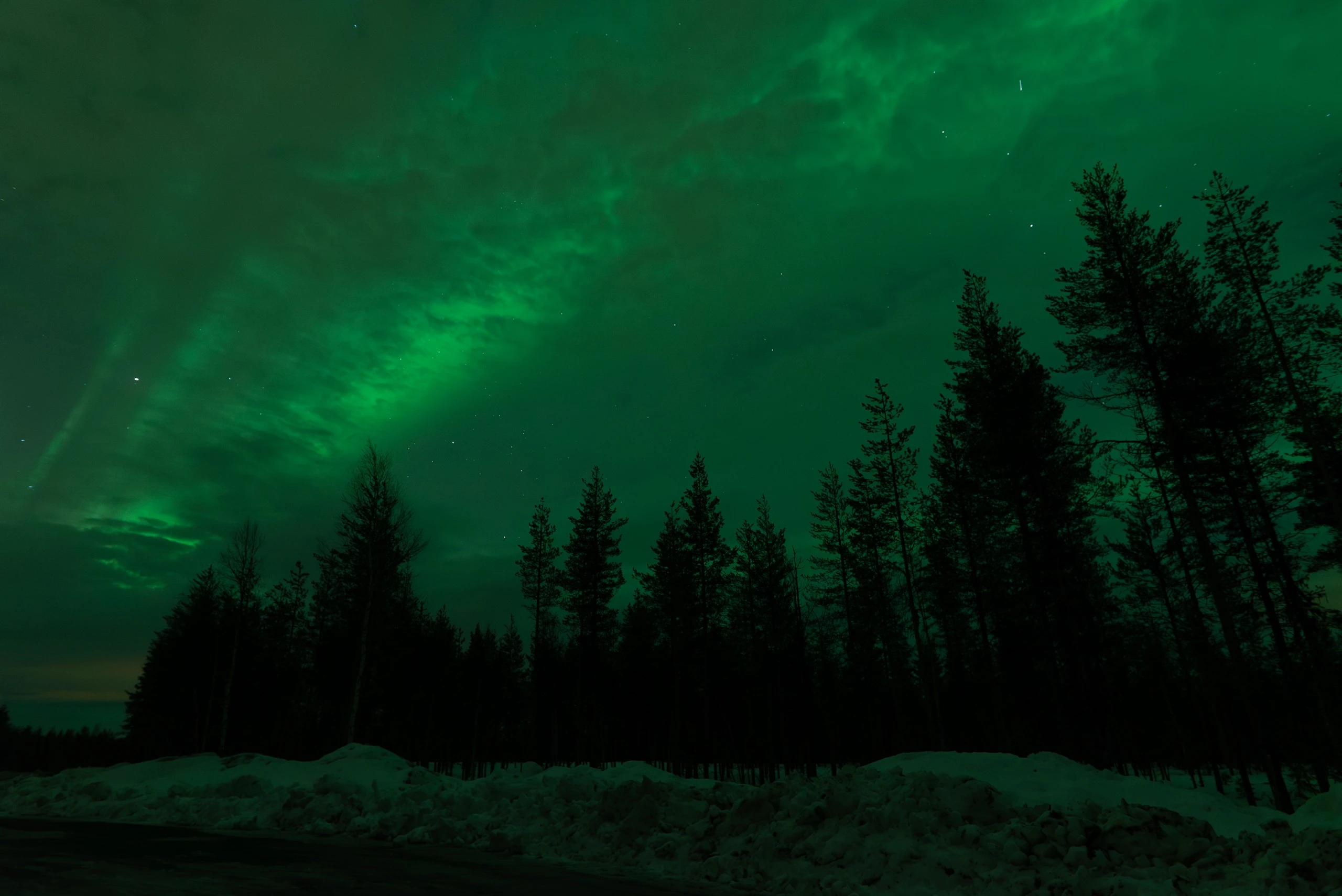 Northern lights over a dark forest in Lapland