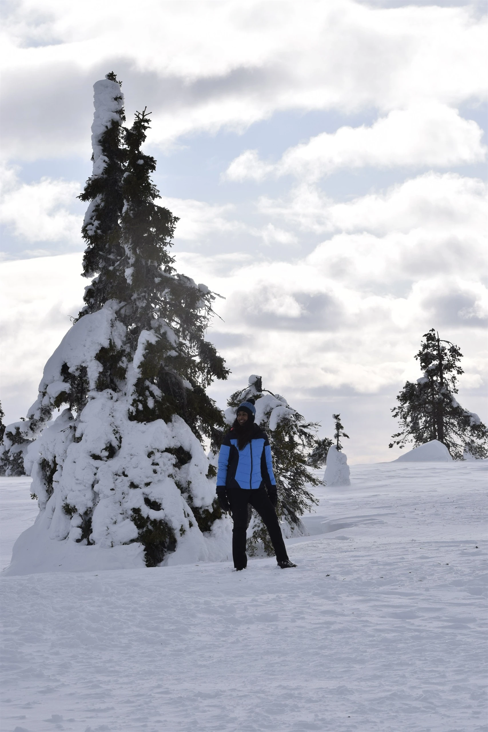 Hiker among snow-crowned spruces in Riisitunturi National Park