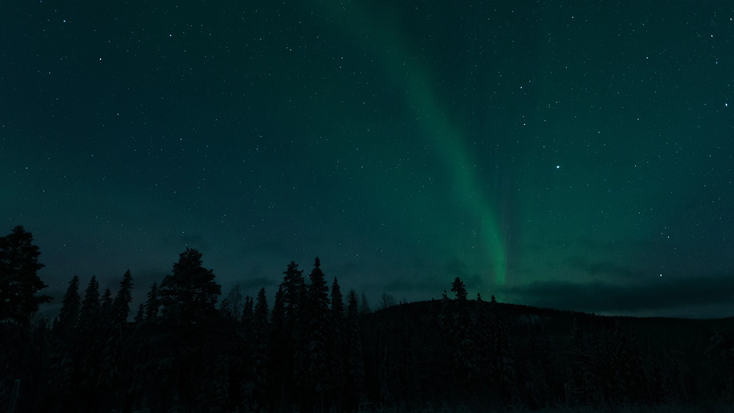 Northern lights over a forested fell near Rovaniemi, Finnish Lapland